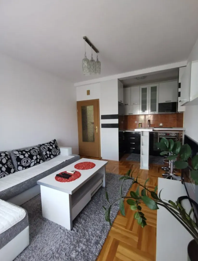 Rent, one bedroom apartment, 43m², Zabjelo, Podgorica
