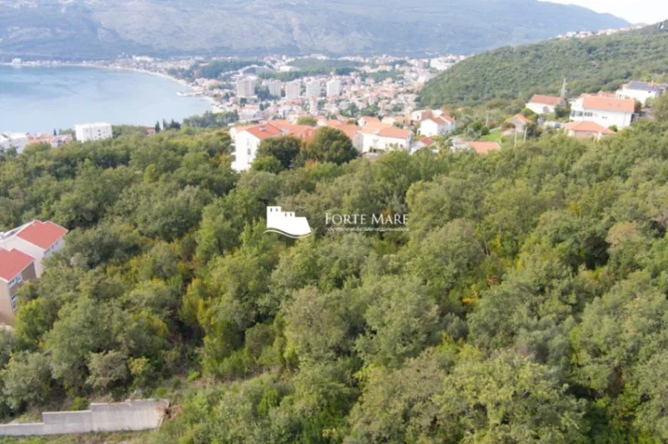 Prodaja, plac, 7800m², Topla, Herceg Novi