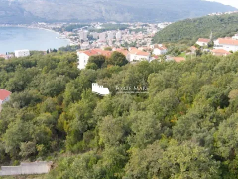 Prodaja, plac, 7800m², Topla, Herceg Novi - image 8
