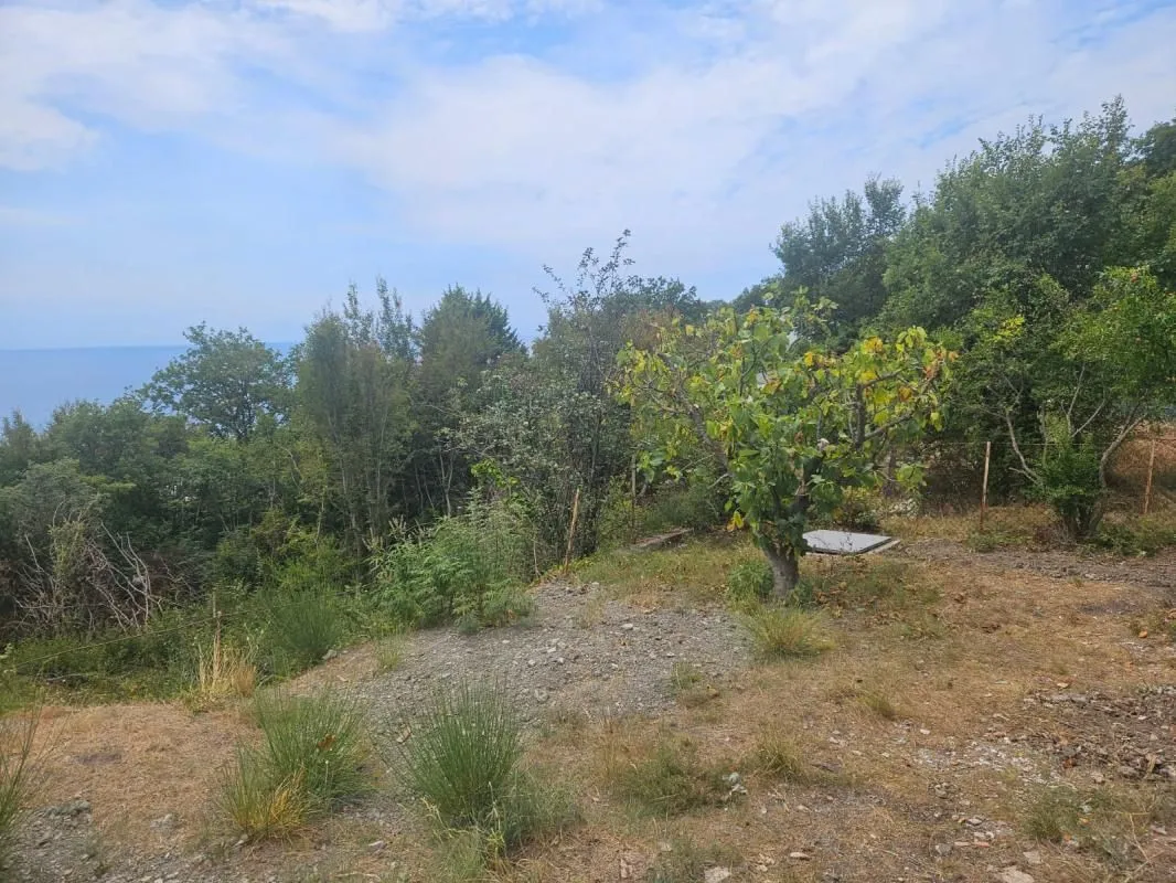 Sale, house, 75m², Zagrad, Berane