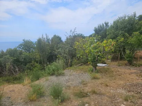 Prodaja, kuća, 75m², Zagrad, Berane - image 2
