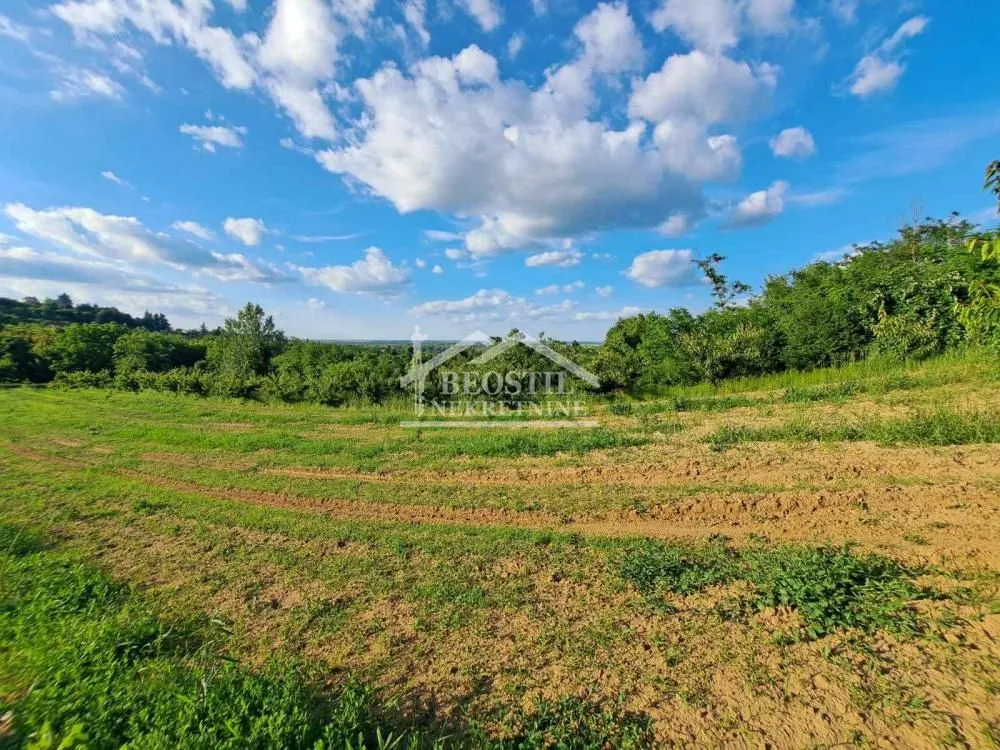 Prodaja, plac, 9563m², Grocka, Beograd
