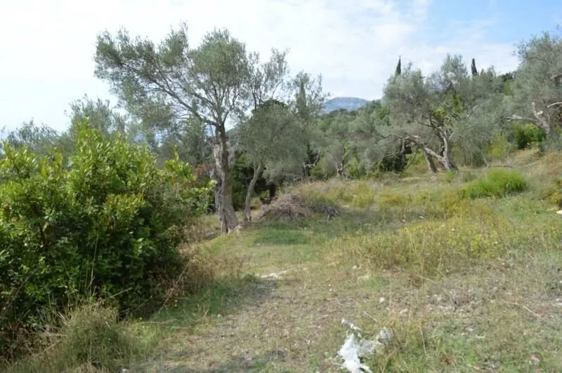 Prodaja, plac, 3000m², Velembusi, Bar