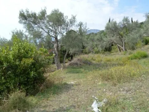 Prodaja, plac, 3000m², Velembusi, Bar - image 4
