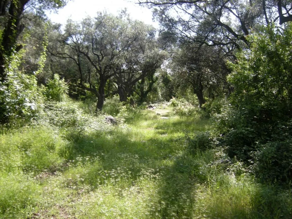 Prodaja, plac, 500m², Budva, Crna Gora