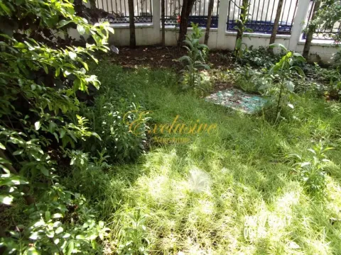 Zaraslo dvorište sa travom i rastinjem pored ograde. - image 20