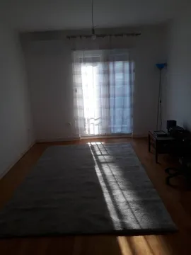 Empty room with a large rug and balcony doors. - image 5