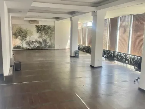 Izdavanje, poslovni prostor, 170m², Trošarina, Voždovac Sve Podlokacije - image 4