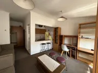 Izdavanje, garsonjera, 28m², Centar, Novi Sad - image 9