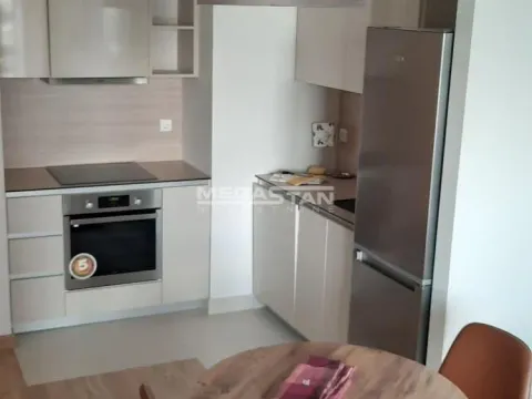 Izdavanje, dvosoban stan, 54m², Savski Venac, Beograd - image 6