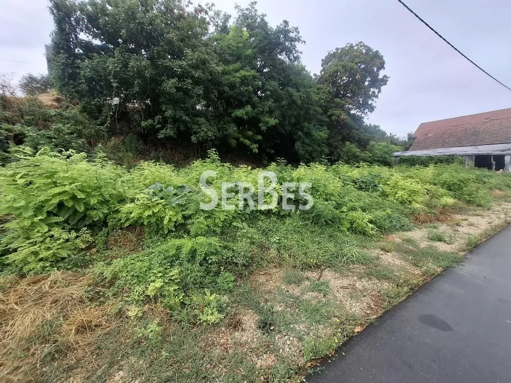 Prodaja, plac, 591m², Sremski Karlovci, Novi Sad