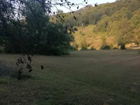 Zemljište in Mojkovac