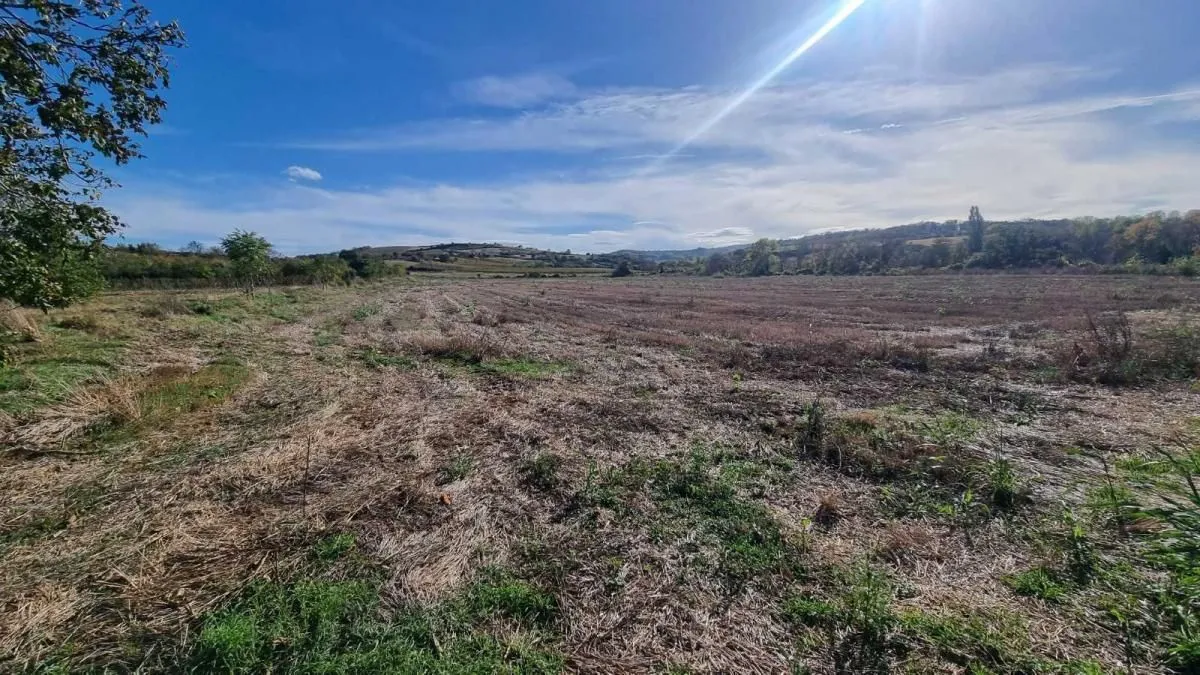 Prodaja, plac, 234m², Sremski Karlovci, Novi Sad