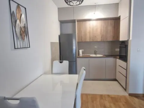 Izdavanje, jednosoban stan, 45m², Pobrežje, Podgorica - image 10