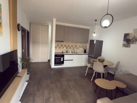 Rent, one bedroom apartment, 47m², Zabjelo, Podgorica - image 4