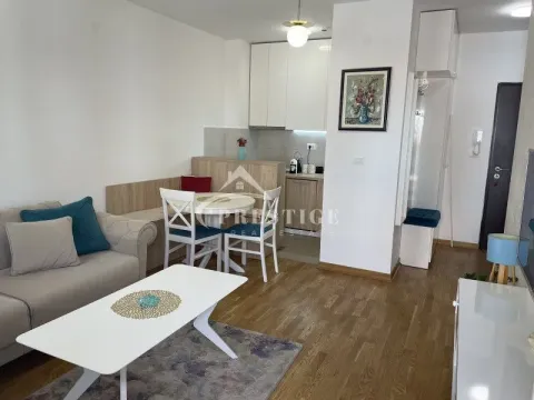 Izdavanje, jednosoban stan, 43m², City Kej, Podgorica - image 8