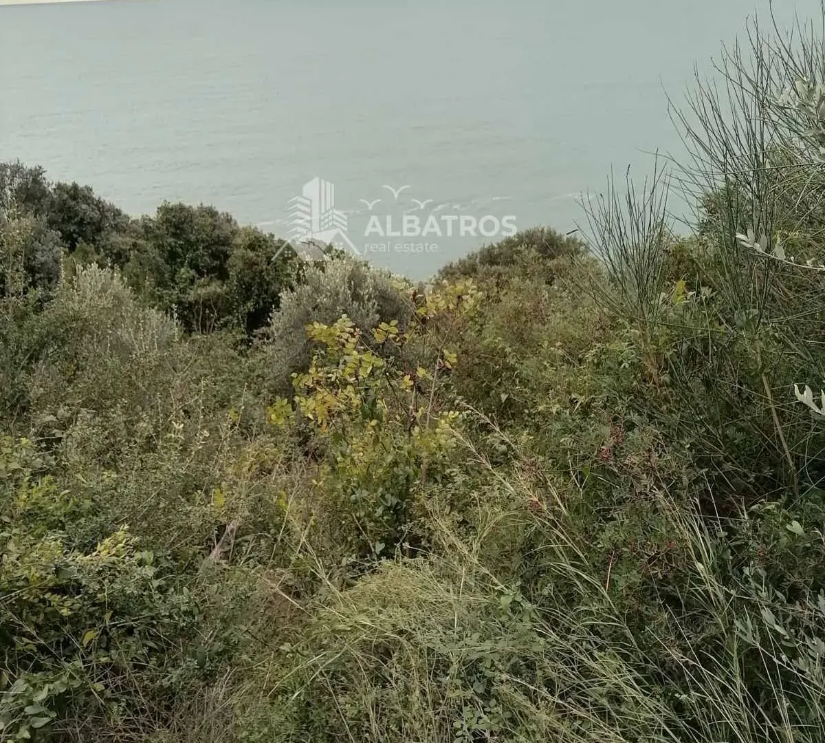 Prodaja, plac, 2250m², Ulcinj, Crna Gora