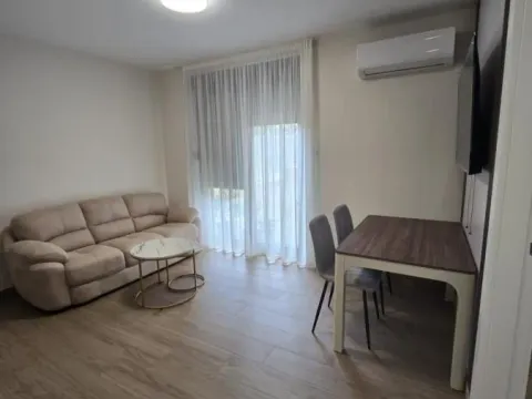 Izdavanje, jednosoban stan, 30m², Sremska Kamenica, Petrovaradin - image 2