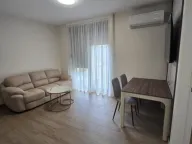 Izdavanje, jednosoban stan, 30m², Sremska Kamenica, Petrovaradin - image 2