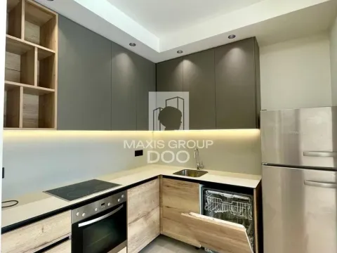 Rent, two bedroom apartment, 50m², Savski Venac, Beograd - image 4