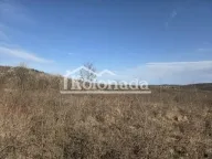 Sale, land lot, Parcani, Sopot - image 4