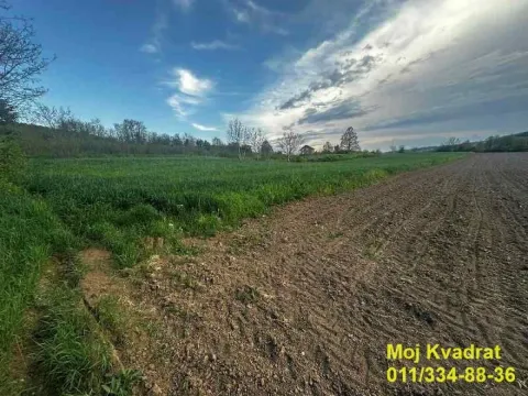 Sale, land lot, 14016m², Vrčin, Grocka - image 2