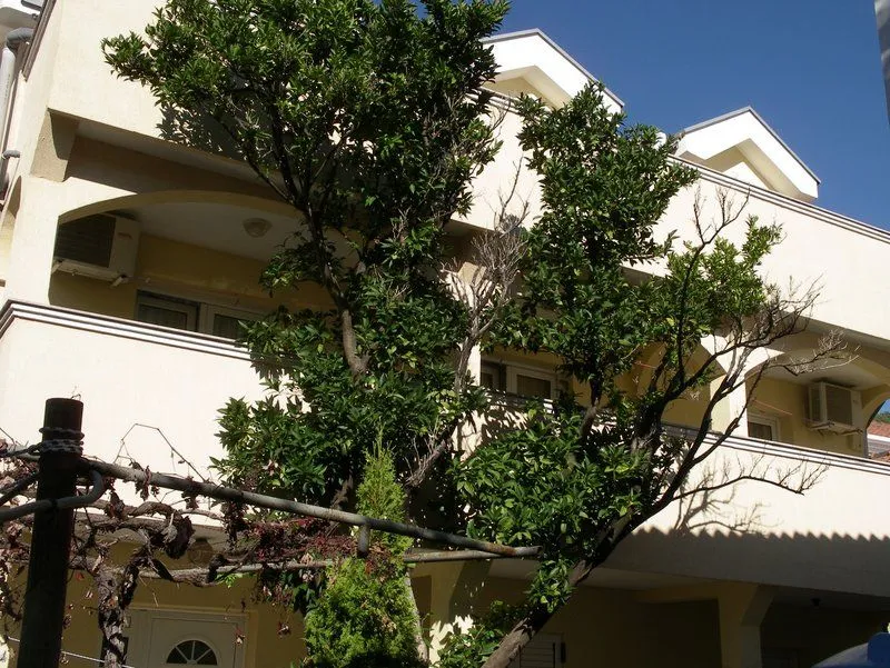Rent, house, 270m², Budva, Crna Gora