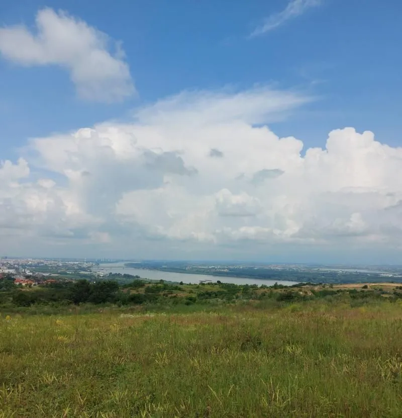 Prodaja, plac, 10000m², Višnjica, Palilula Sve Podlokacije