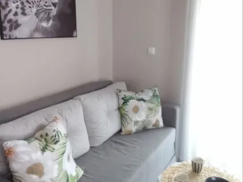 Izdavanje, garsonjera, 34m², Golubovina, Budva - image 8