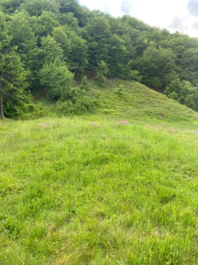Prodaja, plac, 1350m², Moračko Trebaljevo, Kolašin