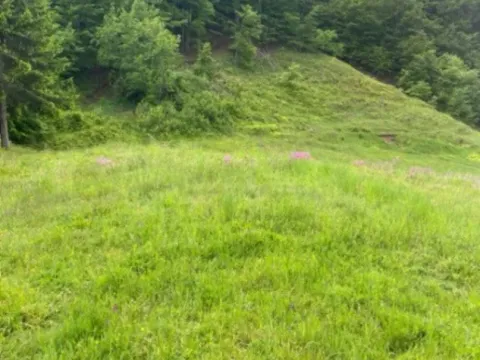 Prodaja, plac, 1350m², Moračko Trebaljevo, Kolašin - image 3