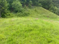 Sale, land lot, 1350m², Moračko Trebaljevo, Kolašin - image 3