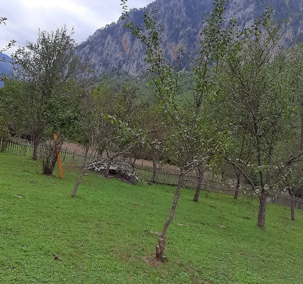 Prodaja, plac, 4000m², Dobrilovina, Mojkovac