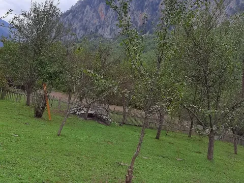 Prodaja, plac, 4000m², Dobrilovina, Mojkovac - image 12