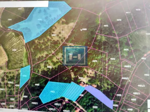 Sale, house, 80m², Županjevac, Rekovac - image 55