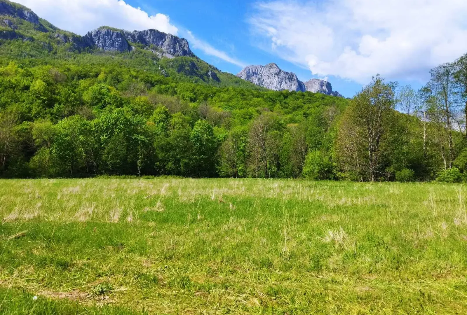 Prodaja, plac, 10000m², Kolašin, Crna Gora