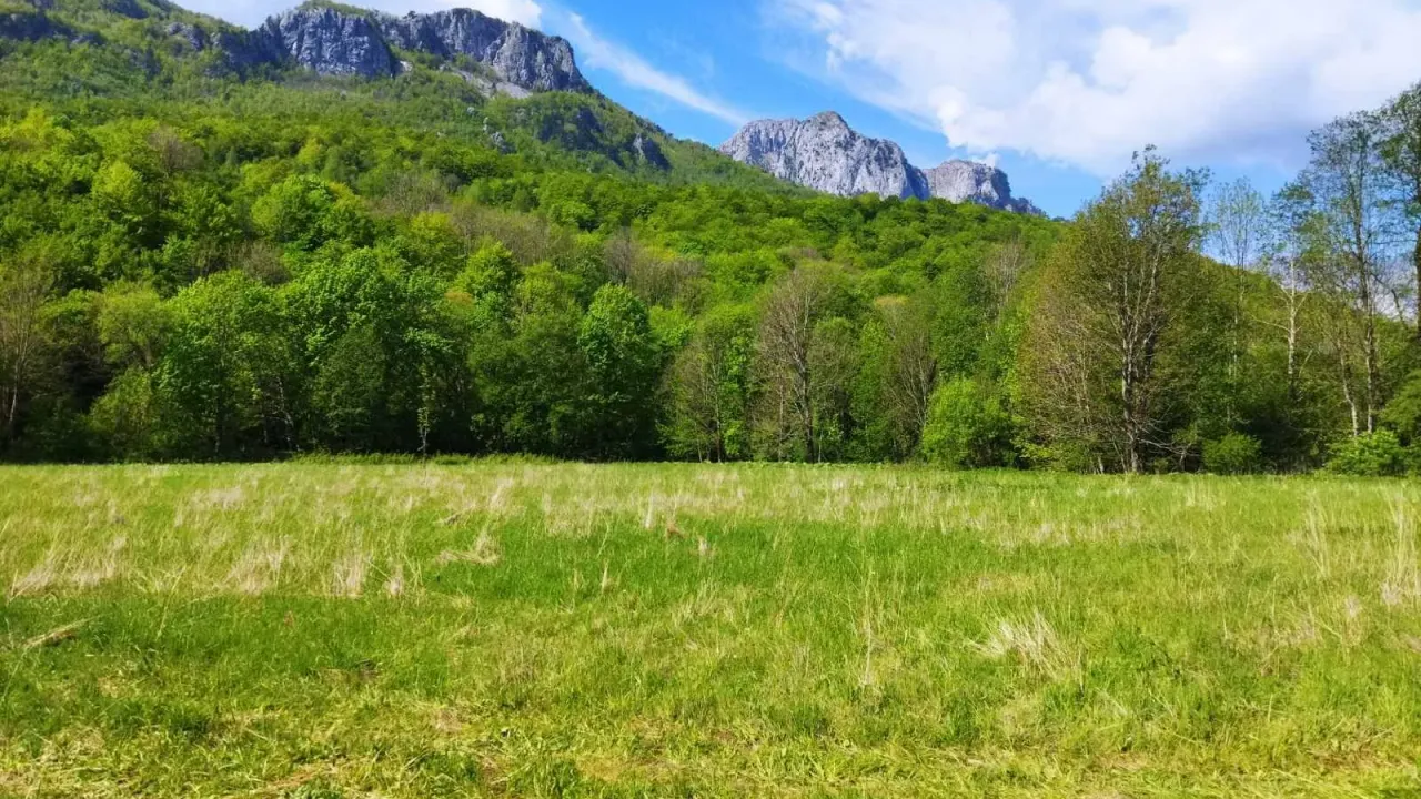 Prodaja, plac, 10000m², Kolašin, Crna Gora