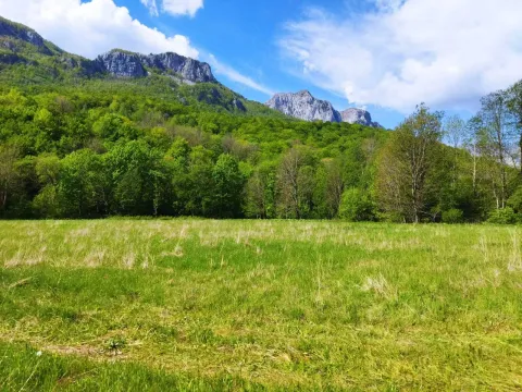 Prodaja, plac, 10000m², Kolašin, Crna Gora