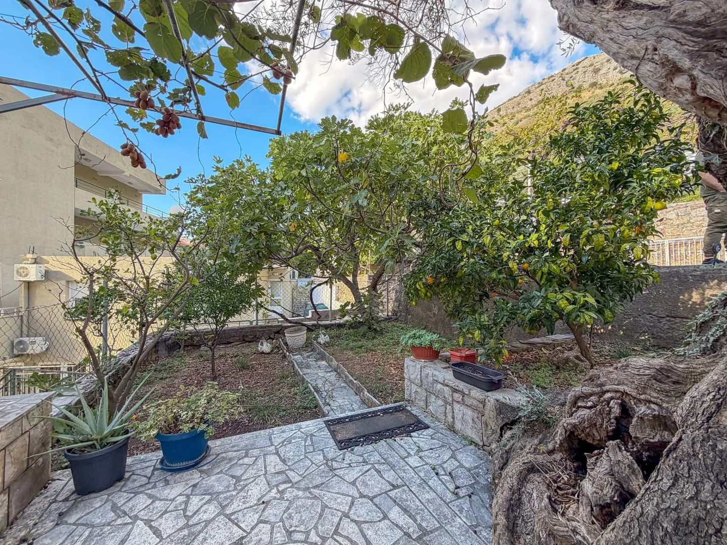 Popločano dvorište sa voćnjakom, zelenilom i pogledom na brdo.