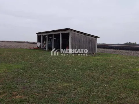 Prodaja, plac, 26200m², Žitište, Zrenjanin - image 17