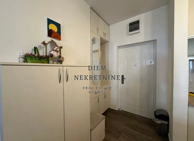 Rent, one bedroom apartment, 40m², Tuški Put, Podgorica