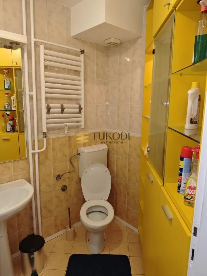 Izdavanje, dvosoban stan, 53m², Novi Beograd Blok 63, Novi Beograd Sve Podlokacije