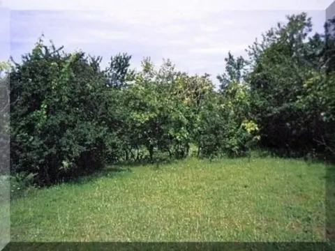 Sale, house, 52m², Pažići, Danilovgrad - image 6