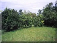 Prodaja, kuća, 52m², Pažići, Danilovgrad - image 6