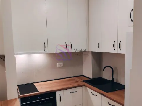 Izdavanje, jednosoban stan, 40m², Central Point, Podgorica - image 4