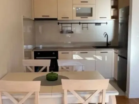 Prodaja, jednosoban stan, 49m², Central Point, Podgorica - image 5