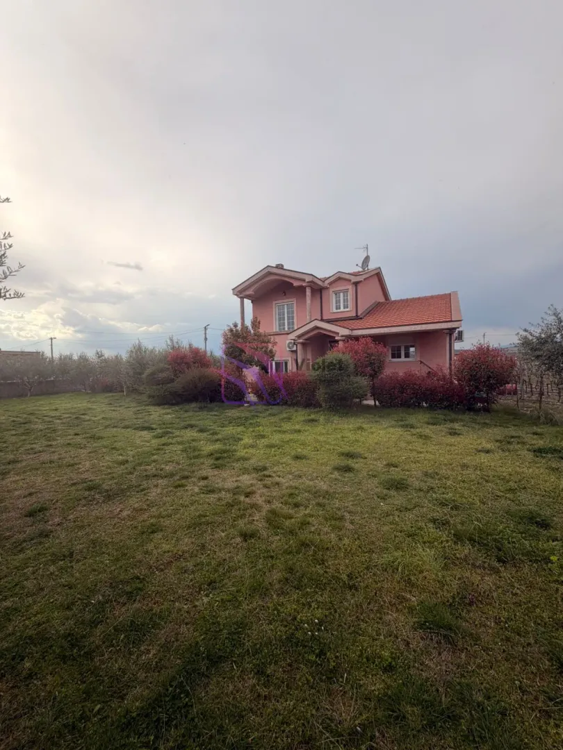 View of the yard and house facade with landscaped greenery.