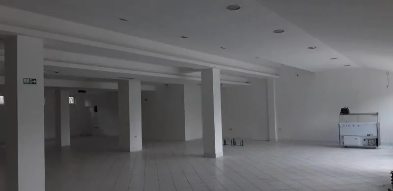Izdavanje, poslovni prostor, 300m², Altina, Beograd