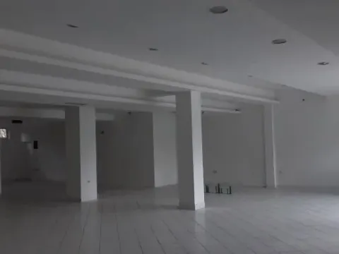 Izdavanje, poslovni prostor, 300m², Altina, Beograd - image 6