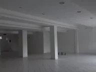 Izdavanje, poslovni prostor, 300m², Altina, Beograd - image 6